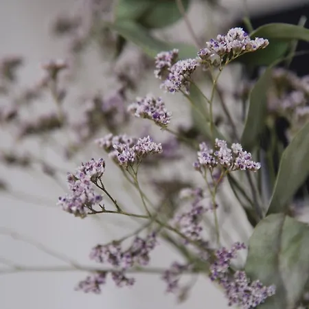 Vakantiehuis Chateau 